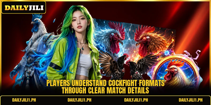 Players understand cockfight formats through clear match details